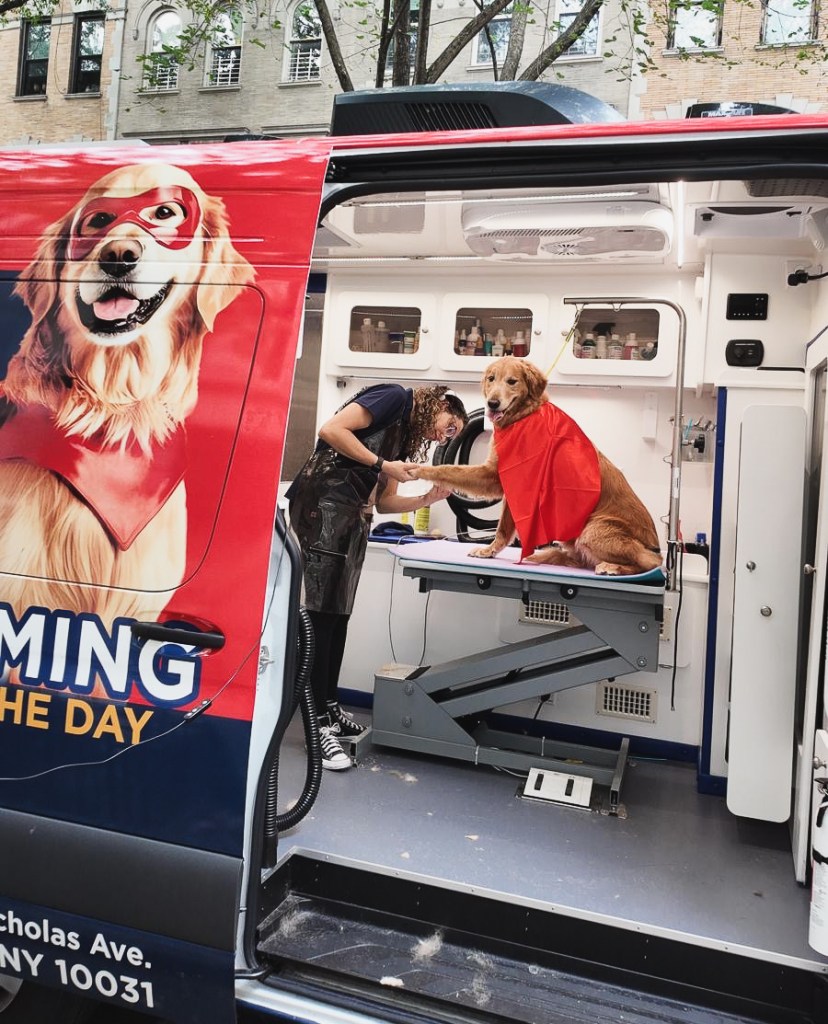 4c915759-7562-41ff-b0a9-ba03ca18e4b8